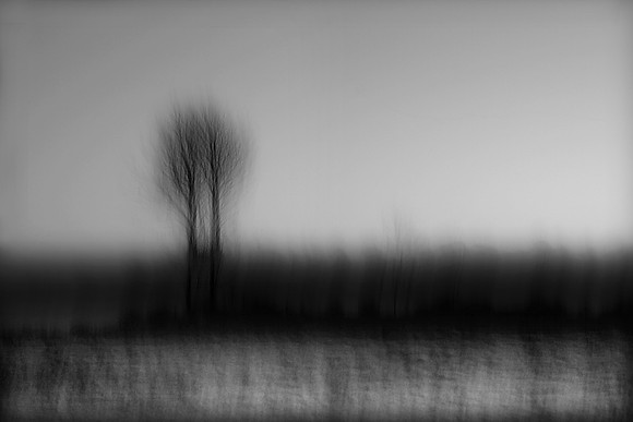 Moonlight 3