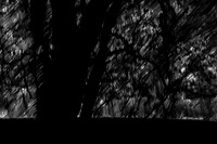 2013-09-22-420