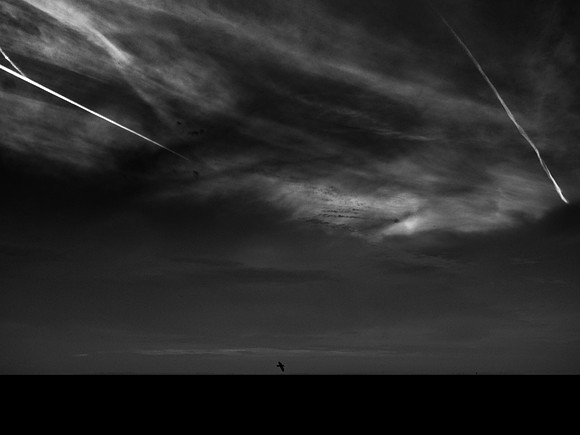 240917-2