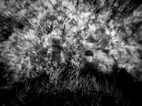 200117-1-3