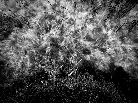 200117-1-3
