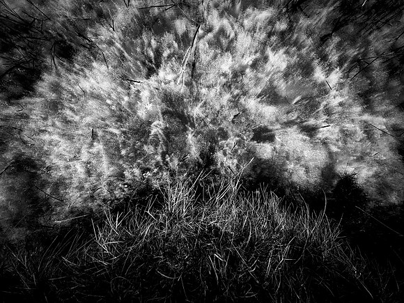 200117-1-4