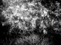 200117-1-5