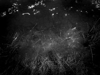 260117-2-2