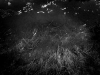 260117-2-3