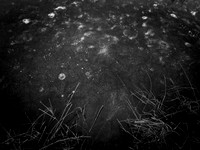 260117-2-5
