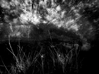 200117-1-8