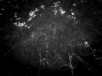 260117-2-6