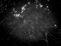 260117-2-7