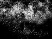 200117-1-10