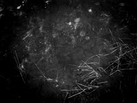 260117-2-8