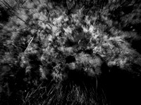 200117-1-11