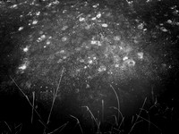 260117-2-11