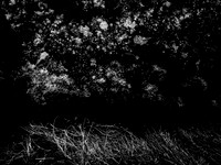 200117-1-19