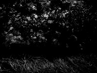 200117-1-20