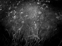 260117-2-20