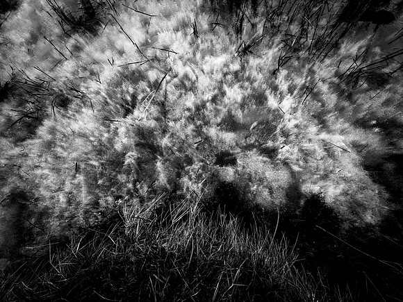 200117-1-30