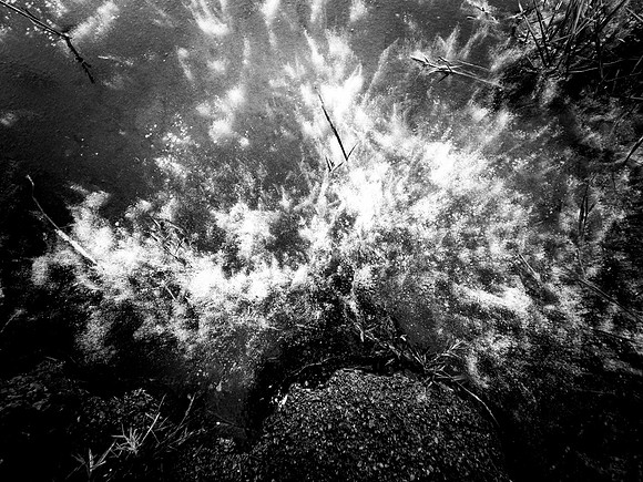 200117-1-31