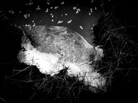 260117-1-8
