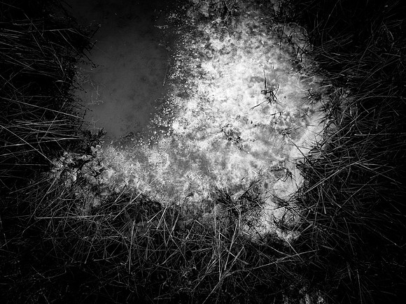 260117-1-99
