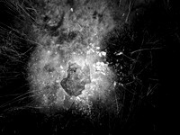 ALICE-10