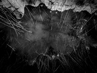 ALICE-20