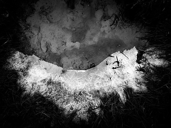 ALICE-65