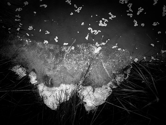 ALICE-85