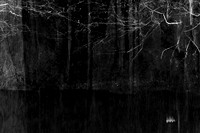 river bw-4