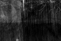 river bw-5
