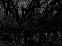 river bw-7