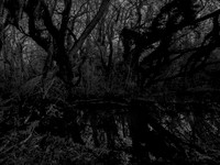 river bw-8