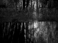 river bw-9