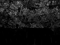river bw-12