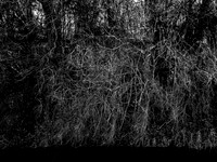 river bw-14