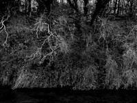 river bw-15