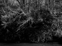 river bw-20