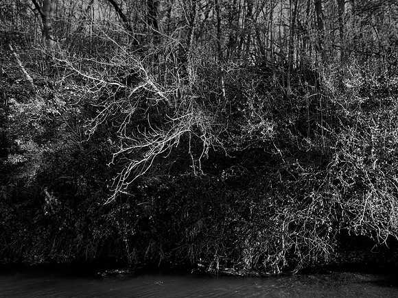 river bw-20