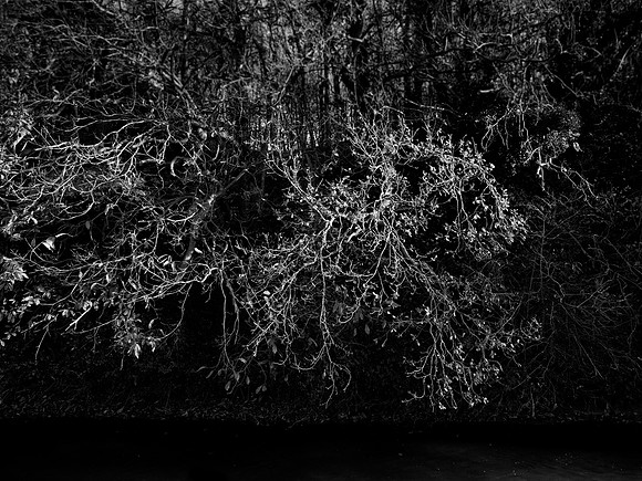 river bw-21