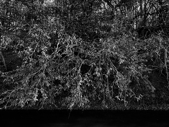 river bw-22