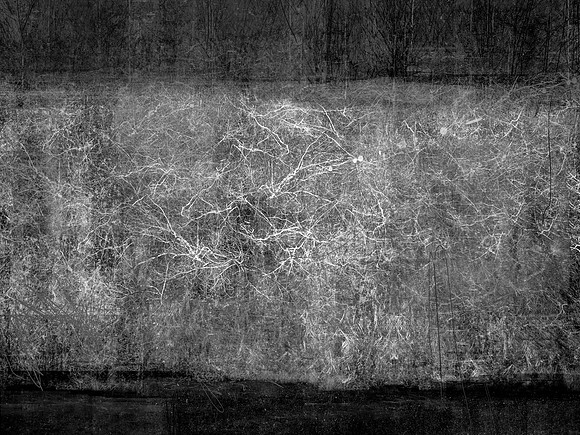 river bw-31