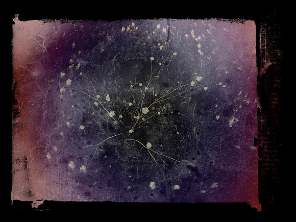 SHADOW-3