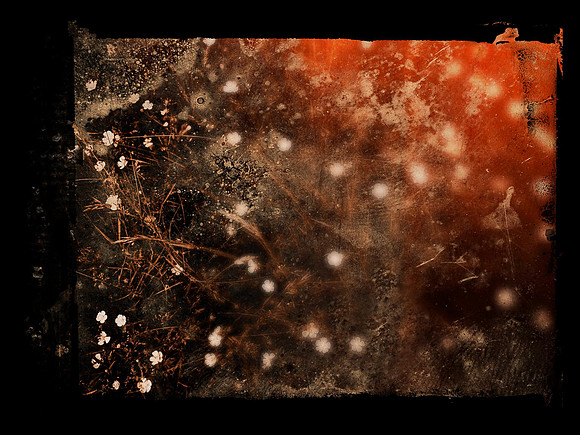 SHADOW-8