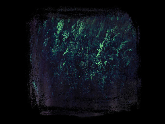shadow-9