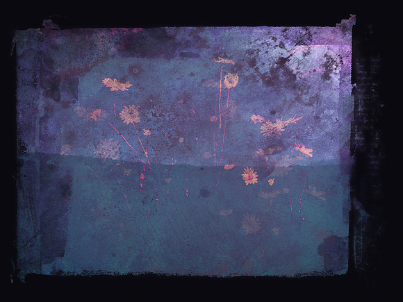 SHADOW-10