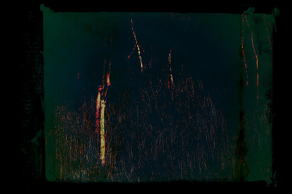 shadow-31