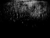 VENUS-18