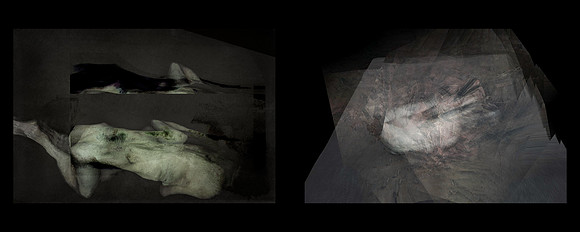 INSOMNIA-36