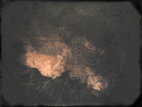 211017-12