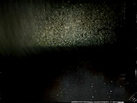 211017-19